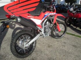 2021 Honda CRF300L