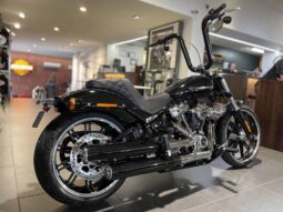 
										2021 Harley-Davidson Breakout 114 (FXBRS) full									