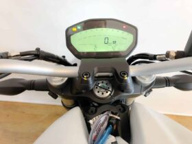 2021 Ducati Monster 659 ABS