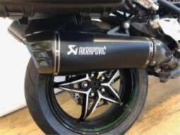 
										2018 Kawasaki Ninja H2 SX SE (ZX10002B) full									