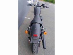 
										2021 Harley-Davidson Iron 883 (XL883N) full									