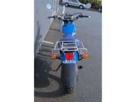 2021 Yamaha AG200EA