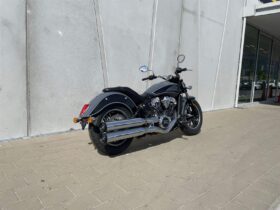 2021 Indian Scout