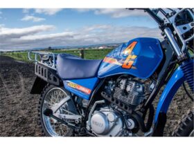 2021 Yamaha AG200
