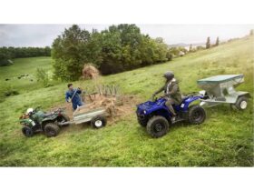 2019 Yamaha Grizzly 350 4×2 Auto (YFM350A)